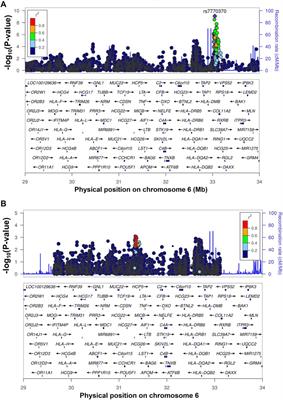 Genome-Wide Association Study for Chronic Hepatitis B Infection in the Thai Population